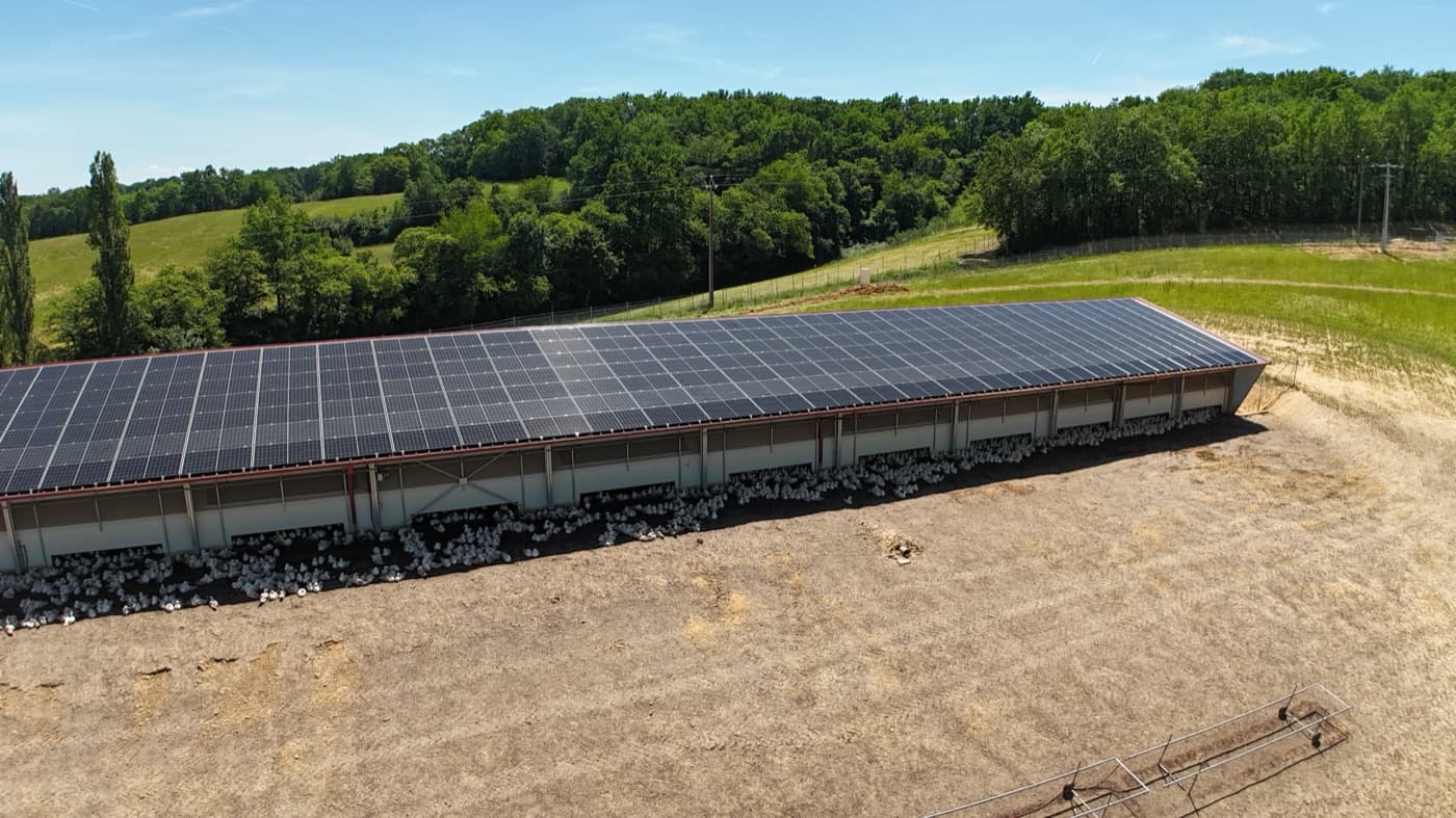 Toiture de bâtiment agricole équipée en photovoltaïque, vue drone